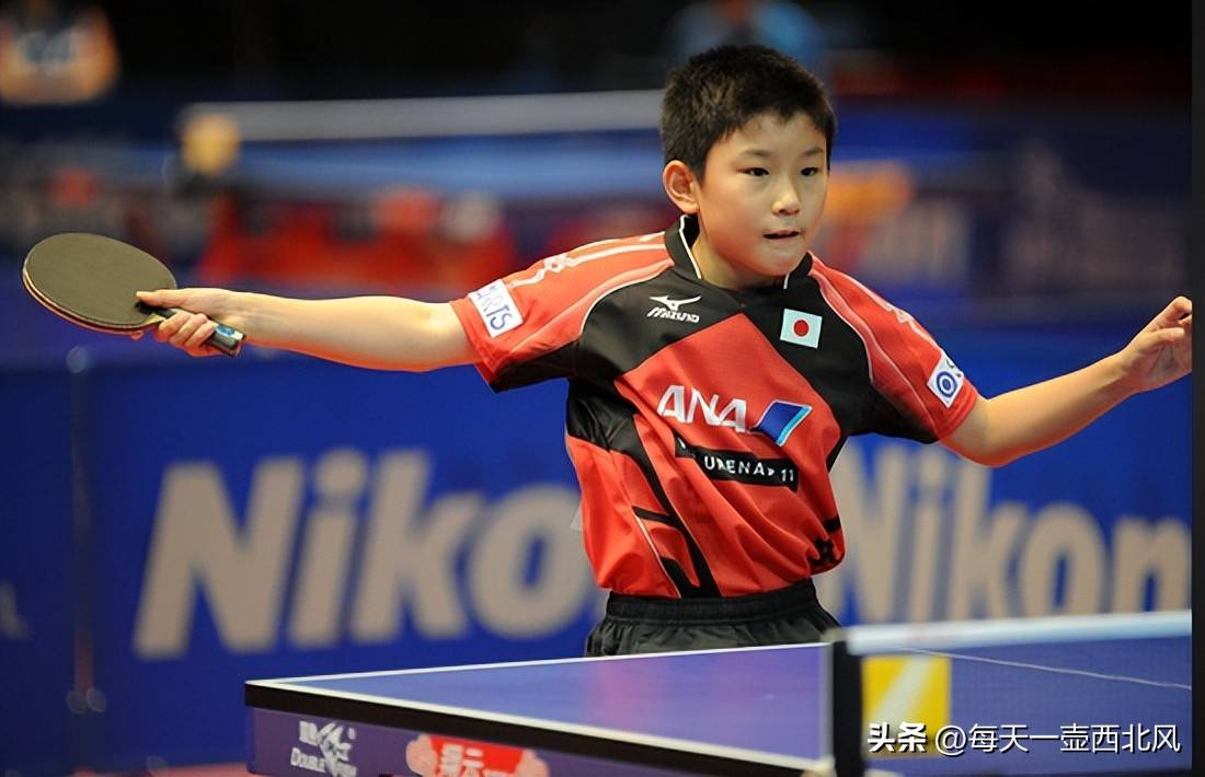熊猫直播-英国乒乓球队强势波兰乒乓球队，张本智和爆发神勇的简单介绍